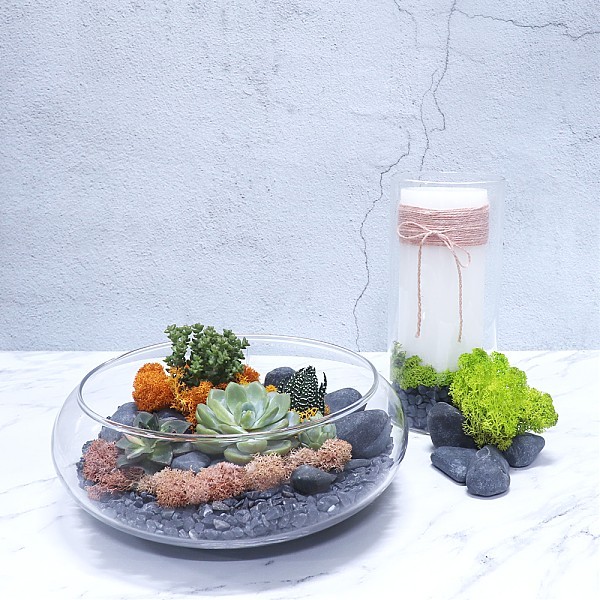 화분월드 천연 인테리어 정원 어항 장식 돌 흑자갈 1호 1.5kg