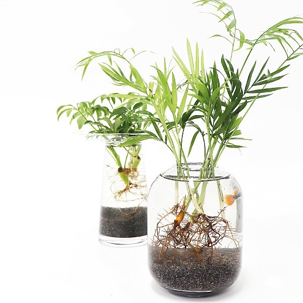 화분월드 수경재배 어항자갈 세척 화산석 블랙마사토 미립 2L