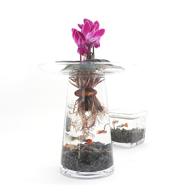 화분월드 수경재배 어항자갈 세척 화산석 블랙마사토 소립 2L