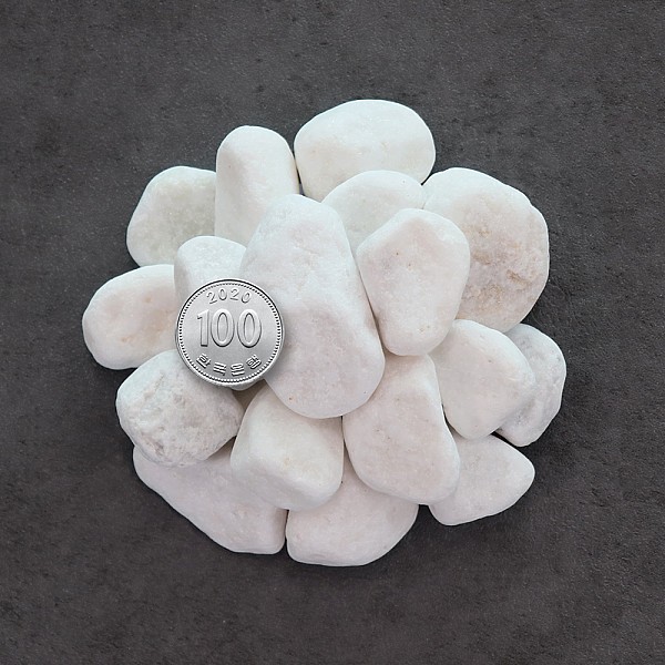 화분월드 정원 마당 인테리어 장식돌 백자갈 7호 15kg