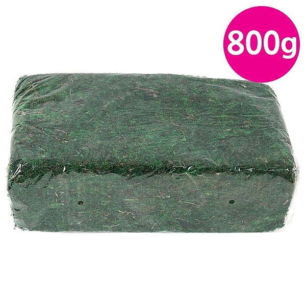 청이끼(대포장)