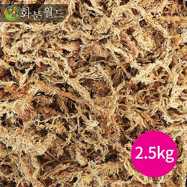 뉴질랜드 수태 2.5kg