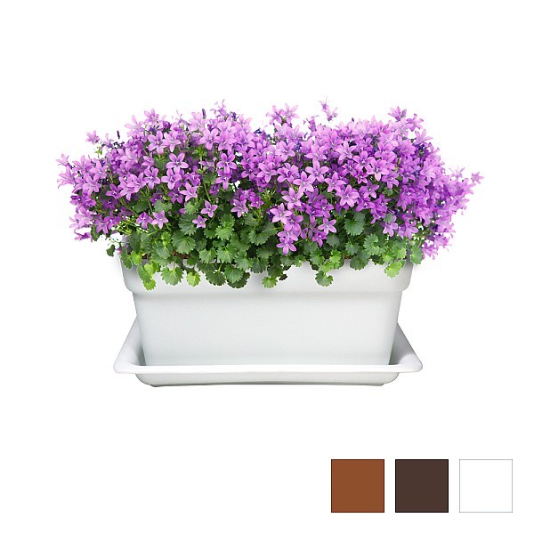 미니초화박스(소/중/대)