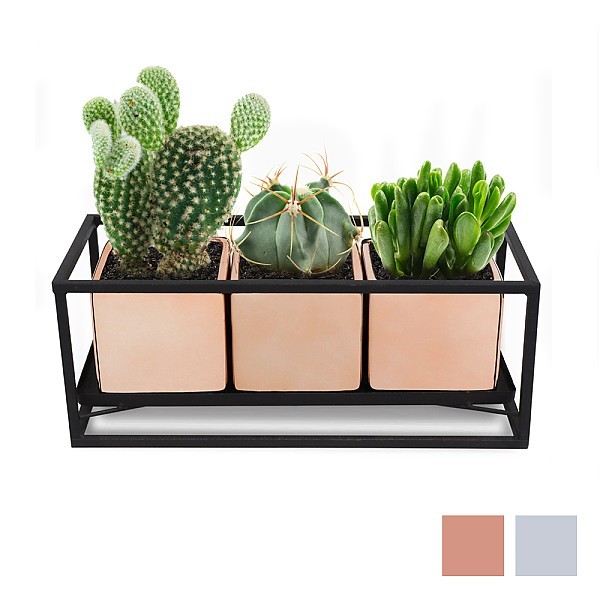 메탈릭 미니화분 세트