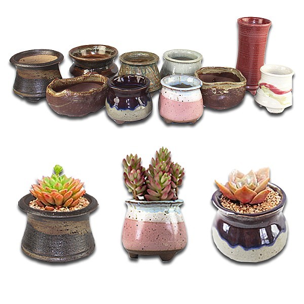 다양한 다육화분