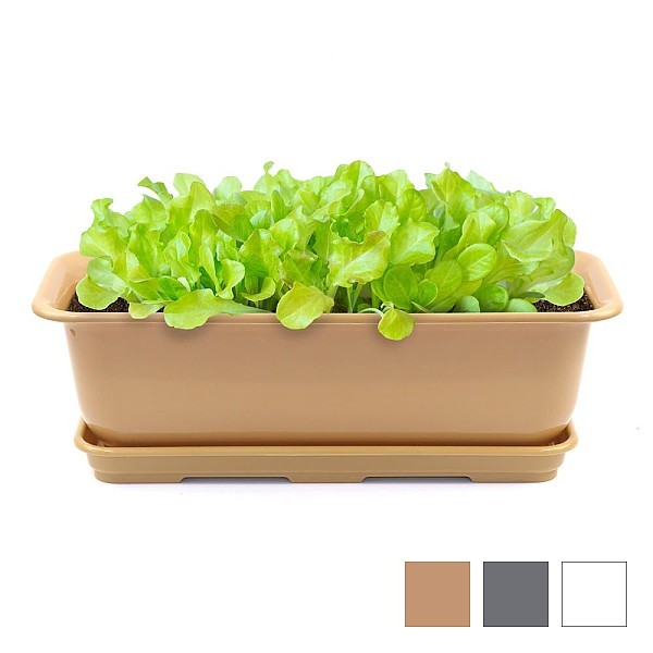 뷰티500/600 화분