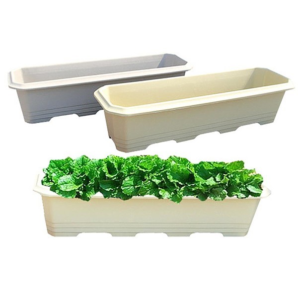 메가박스 (특대) 화분