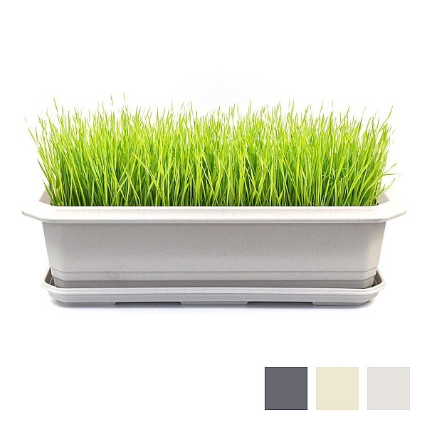 메가박스(660) 화분