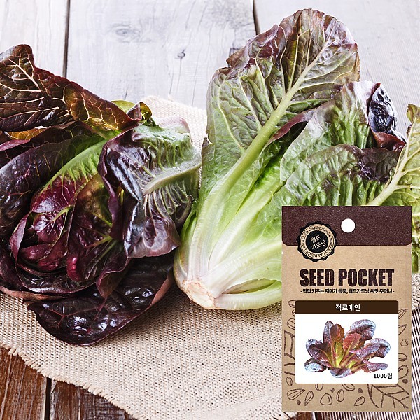 적로메인 씨앗 (1000립)