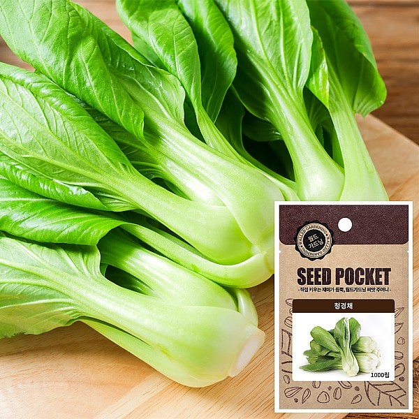 청경채 씨앗 (1000립)