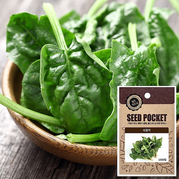 시금치 씨앗 (1000립)