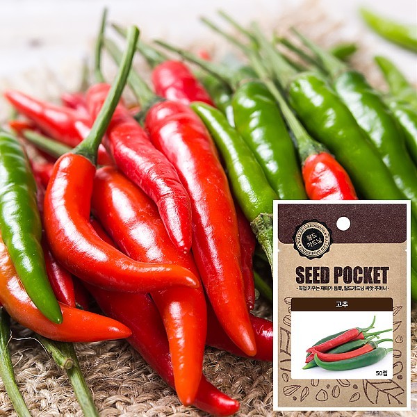 고추 씨앗 (50립)