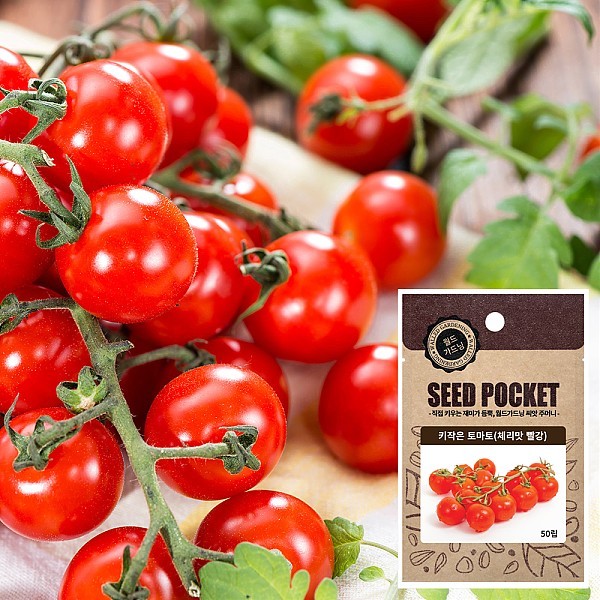 키작은 토마토(체리맛 빨강) 씨앗(50립)