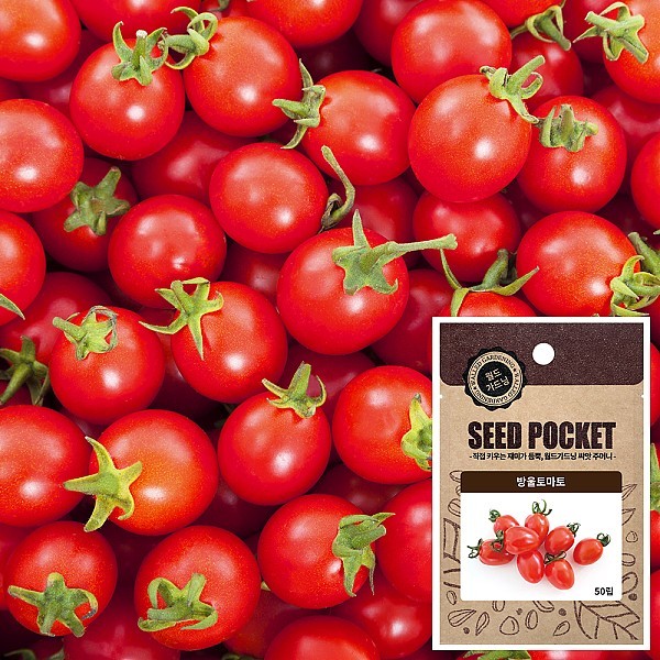 방울토마토 씨앗 (50립)