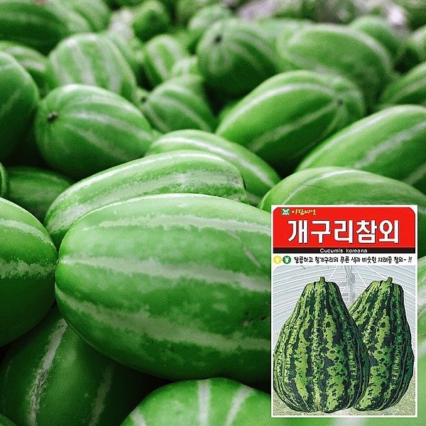 개구리참외 씨앗 (50립)