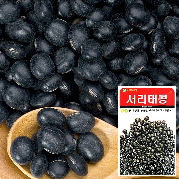 서리태콩 씨앗 (30g)