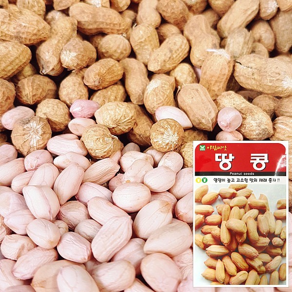 땅콩 씨앗 (20g)